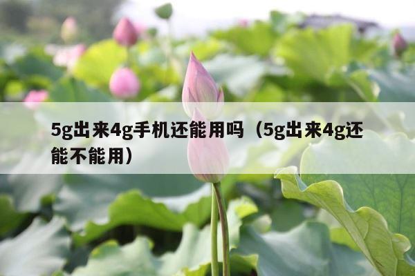 5g出来4g手机还能用吗（5g出来4g还能不能用） 第1张