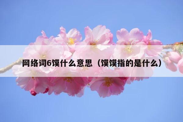 网络词6馍什么意思（馍馍指的是什么） 第1张