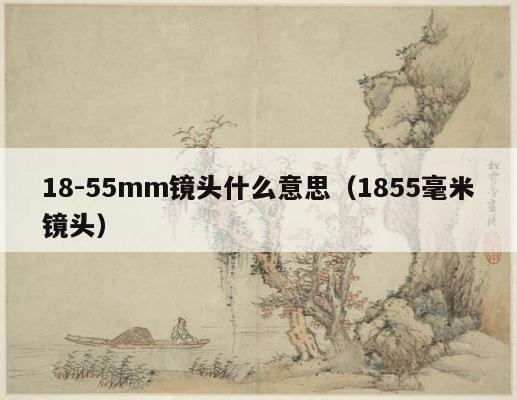18-55mm镜头什么意思（1855毫米镜头） 第1张