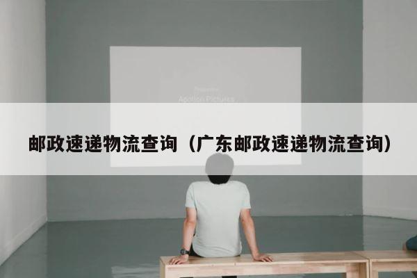 邮政速递物流查询（广东邮政速递物流查询） 第1张