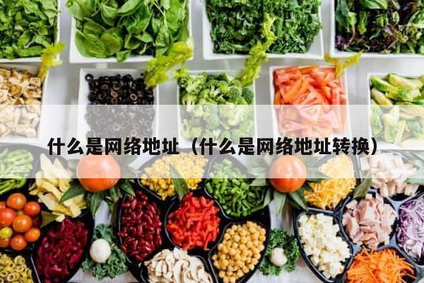 什么是网络地址（什么是网络地址转换） 第1张