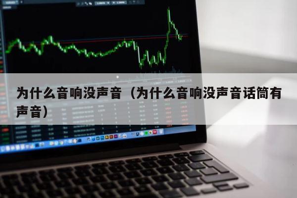 为什么音响没声音（为什么音响没声音话筒有声音） 第1张