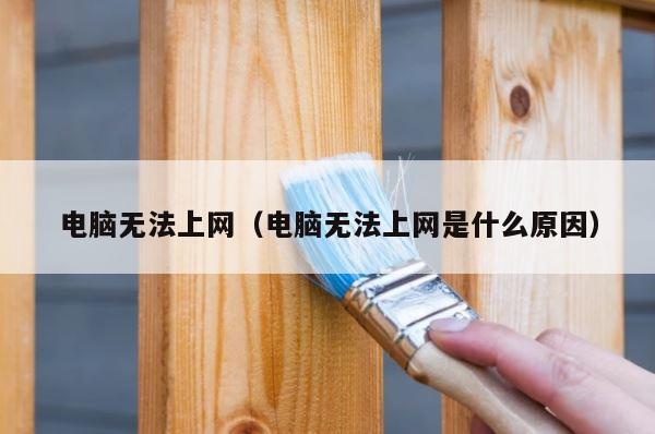 电脑无法上网（电脑无法上网是什么原因） 第1张