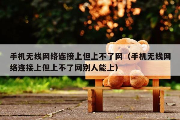 手机无线网络连接上但上不了网（手机无线网络连接上但上不了网别人能上） 第1张