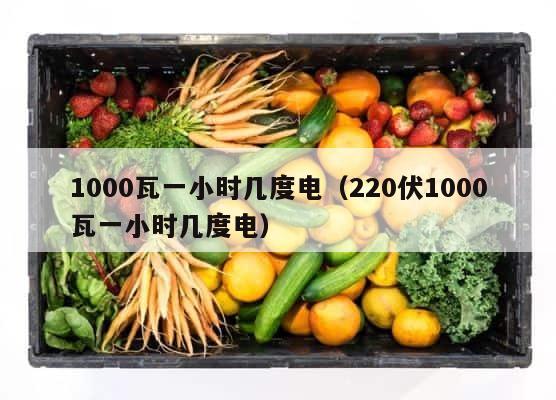 1000瓦一小时几度电（220伏1000瓦一小时几度电） 第1张