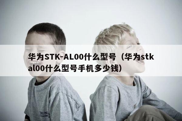 华为STK-AL00什么型号（华为stkal00什么型号手机多少钱） 第1张