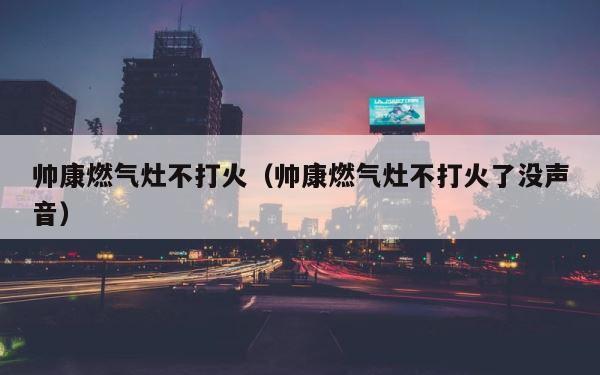帅康燃气灶不打火（帅康燃气灶不打火了没声音） 第1张