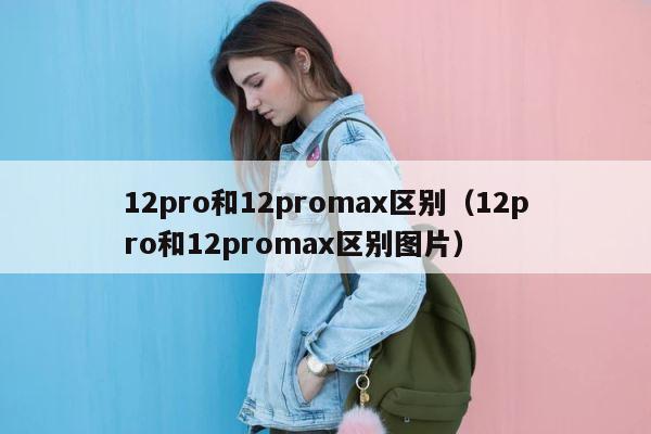 12pro和12promax区别（12pro和12promax区别图片） 第1张