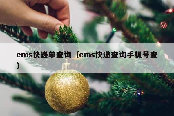ems快递单查询（ems快递查询手机号查） 第1张