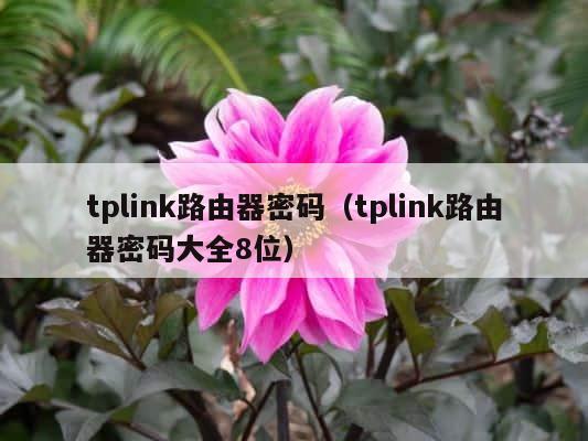tplink路由器密码（tplink路由器密码大全8位） 第1张