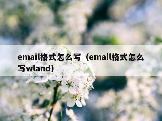 email格式怎么写（email格式怎么写wland） 第1张