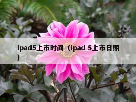 ipad5上市时间（ipad 5上市日期） 第1张