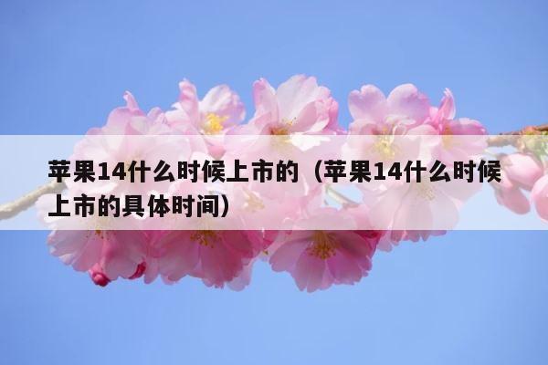 苹果14什么时候上市的（苹果14什么时候上市的具体时间） 第1张