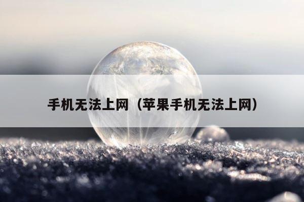 手机无法上网（苹果手机无法上网） 第1张