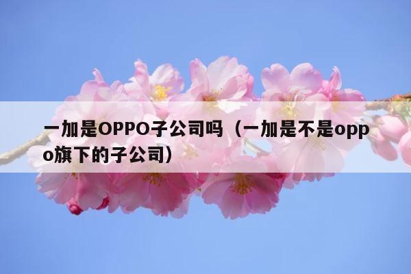一加是OPPO子公司吗（一加是不是oppo旗下的子公司） 第1张