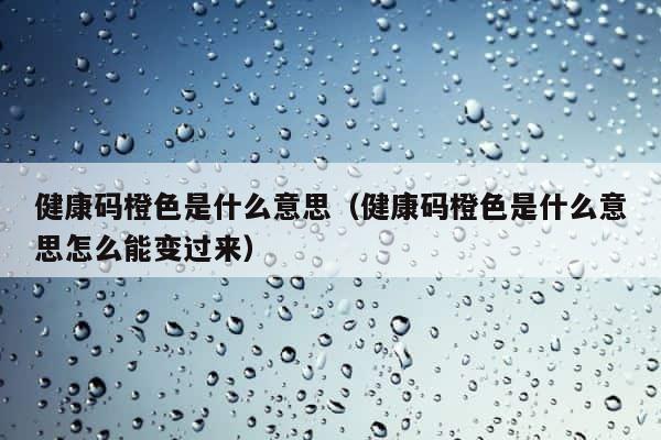 健康码橙色是什么意思（健康码橙色是什么意思怎么能变过来） 第1张