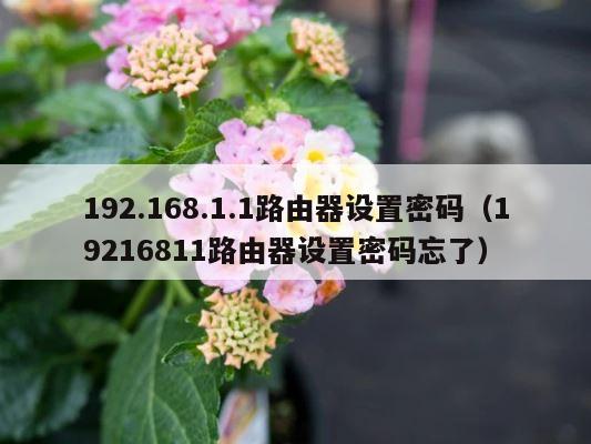 192.168.1.1路由器设置密码（19216811路由器设置密码忘了） 第1张