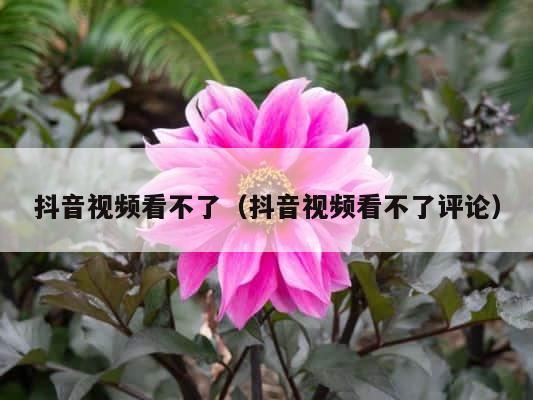 抖音视频看不了（抖音视频看不了评论） 第1张