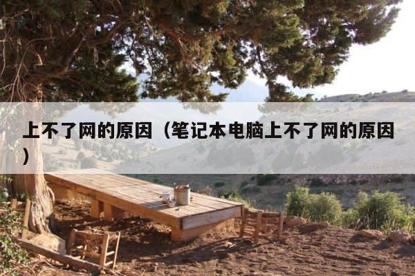 上不了网的原因（笔记本电脑上不了网的原因） 第1张