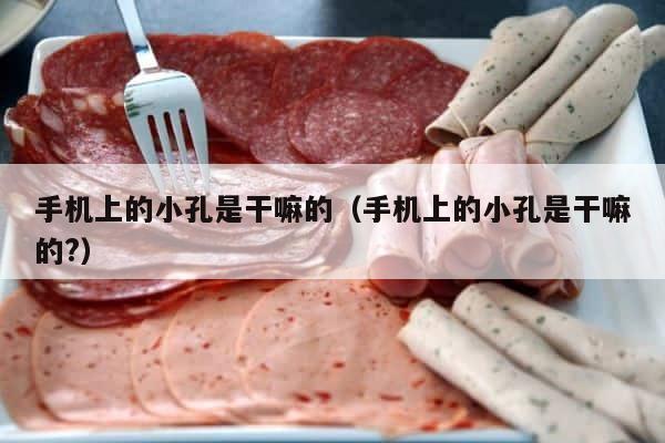 手机上的小孔是干嘛的（手机上的小孔是干嘛的?） 第1张