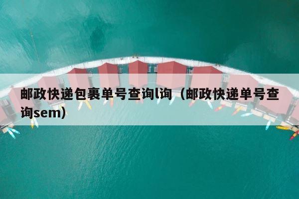 邮政快递包裹单号查询l询（邮政快递单号查询sem） 第1张