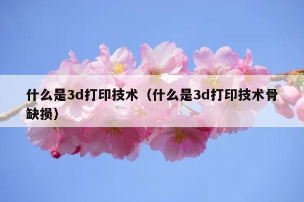 什么是3d打印技术（什么是3d打印技术骨缺损） 第1张