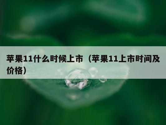 苹果11什么时候上市（苹果11上市时间及价格） 第1张