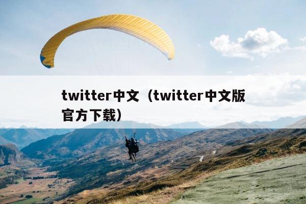 twitter中文（twitter中文版官方下载） 第1张