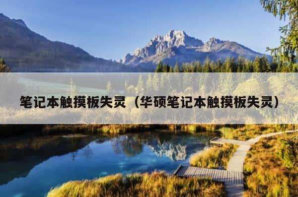 笔记本触摸板失灵（华硕笔记本触摸板失灵） 第1张