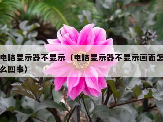 电脑显示器不显示（电脑显示器不显示画面怎么回事） 第1张