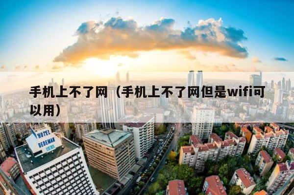 手机上不了网（手机上不了网但是wifi可以用） 第1张