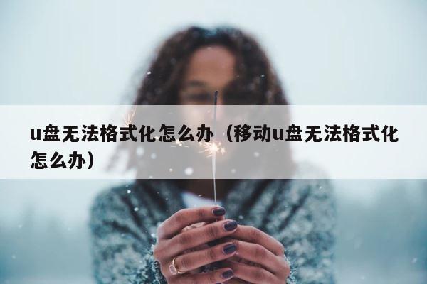 u盘无法格式化怎么办（移动u盘无法格式化怎么办） 第1张