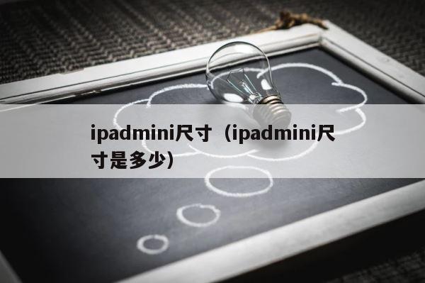 ipadmini尺寸（ipadmini尺寸是多少） 第1张