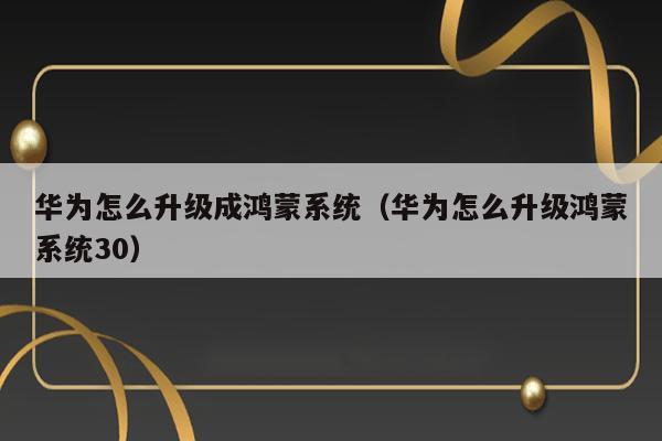 华为怎么升级成鸿蒙系统（华为怎么升级鸿蒙系统30） 第1张