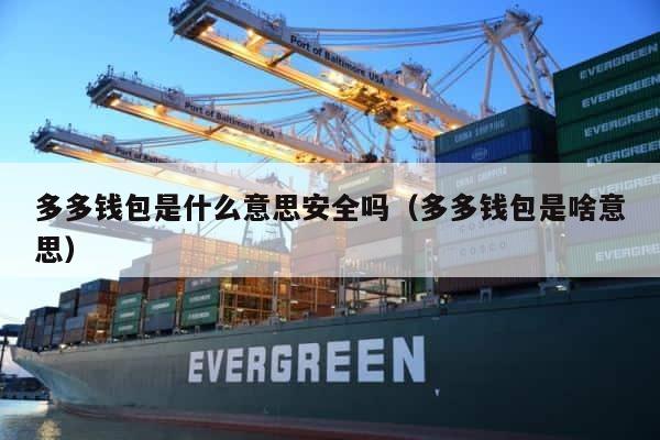 多多钱包是什么意思安全吗（多多钱包是啥意思） 第1张