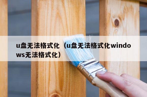 u盘无法格式化（u盘无法格式化windows无法格式化） 第1张