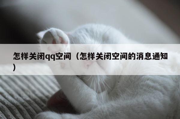 怎样关闭qq空间（怎样关闭空间的消息通知） 第1张
