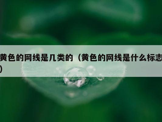 黄色的网线是几类的（黄色的网线是什么标志） 第1张
