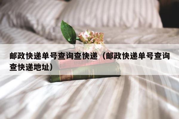 邮政快递单号查询查快递（邮政快递单号查询查快递地址） 第1张
