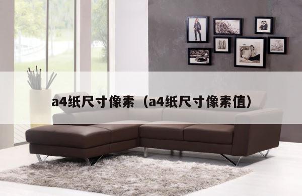 a4纸尺寸像素（a4纸尺寸像素值） 第1张