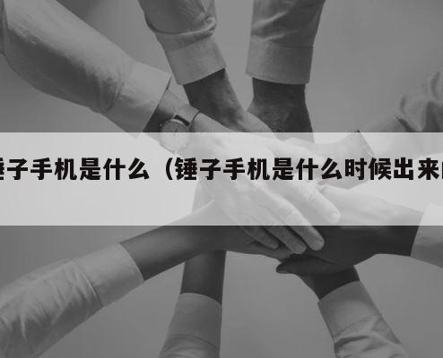 锤子手机是什么（锤子手机是什么时候出来的） 第1张