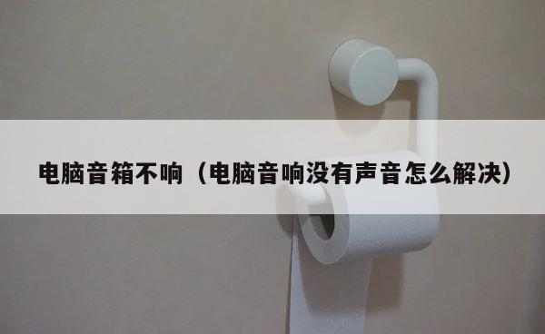 电脑音箱不响（电脑音响没有声音怎么解决） 第1张