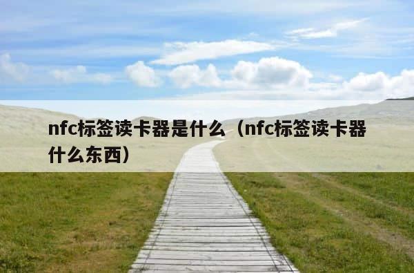 nfc标签读卡器是什么（nfc标签读卡器什么东西） 第1张