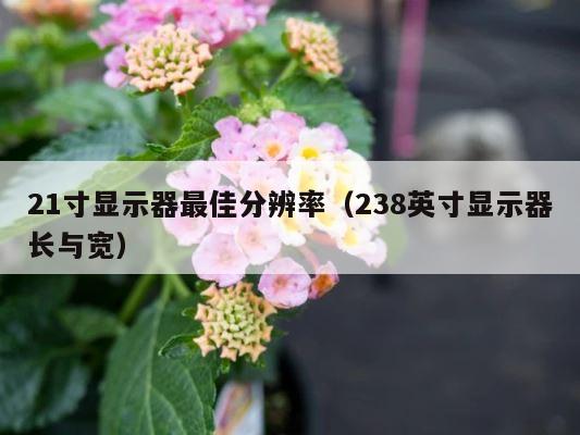 21寸显示器最佳分辨率（238英寸显示器长与宽） 第1张