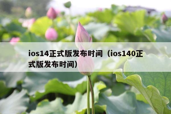 ios14正式版发布时间（ios140正式版发布时间） 第1张