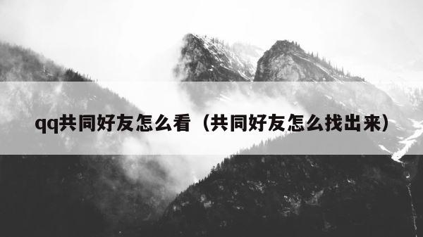 qq共同好友怎么看（共同好友怎么找出来） 第1张