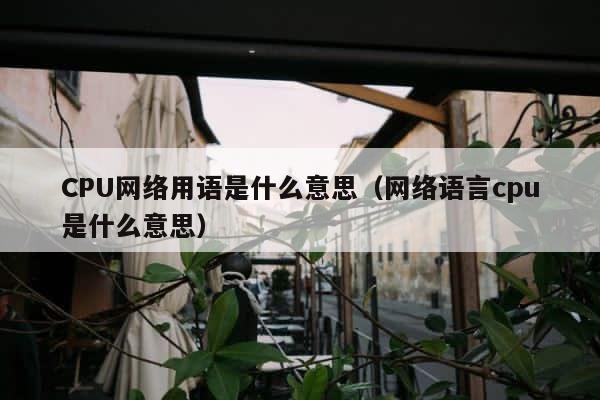 CPU网络用语是什么意思（网络语言cpu是什么意思） 第1张