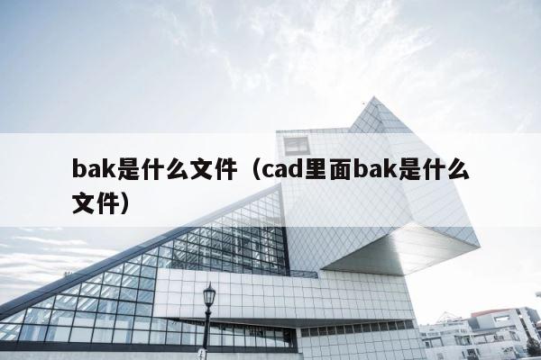 bak是什么文件（cad里面bak是什么文件） 第1张