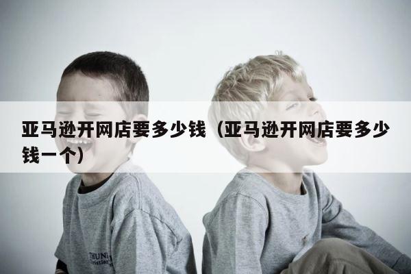 亚马逊开网店要多少钱（亚马逊开网店要多少钱一个） 第1张