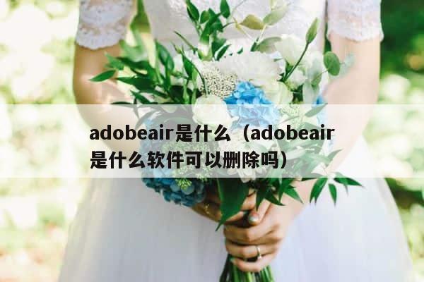 adobeair是什么（adobeair是什么软件可以删除吗） 第1张